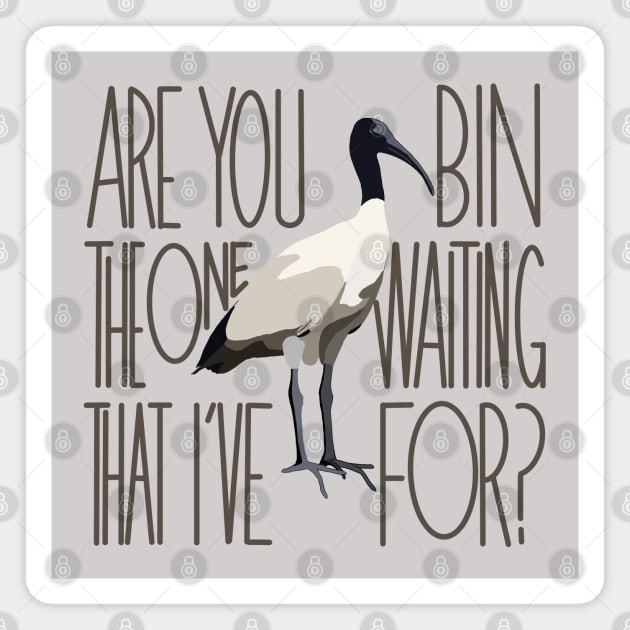 Are You The One That I’ve Bin Waiting For? (bin chicken, ibis) Magnet by Kary Pearson